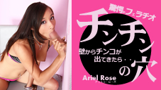 η ɤ󥳤ФƤ顦 Ariel Rose