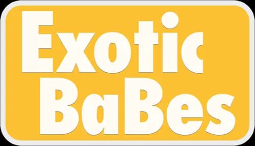 バイトでミスした私へのお仕置きは・・ボスの命令 My boss's SEX order Rechel Rose